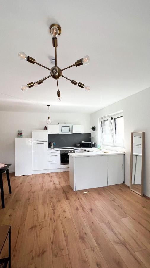 2 Zkb Apartment In Mannheim Kueche - Parken - Grosser Tv Extérieur photo