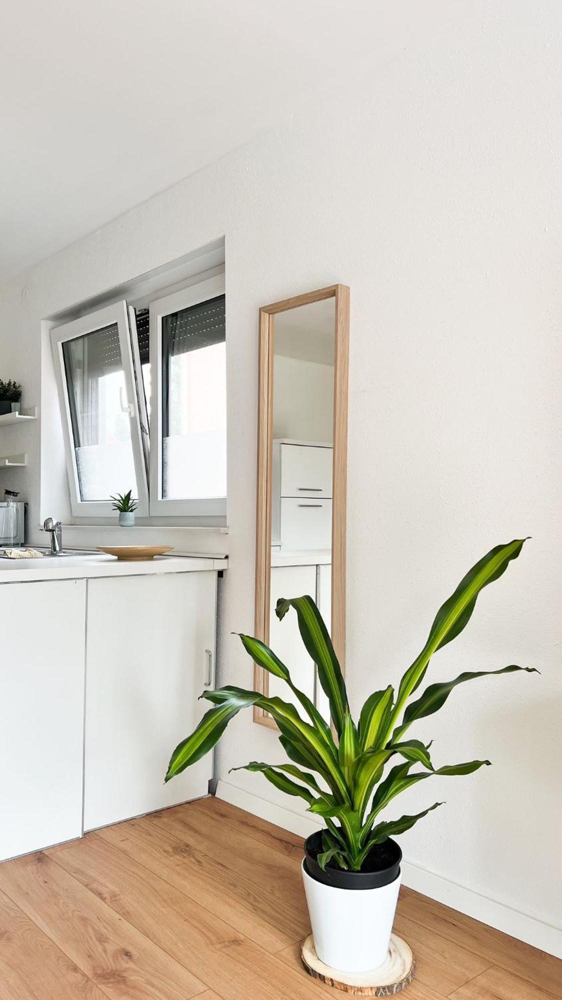 2 Zkb Apartment In Mannheim Kueche - Parken - Grosser Tv Extérieur photo